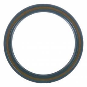 Ring Case