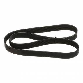 Riemen Case
