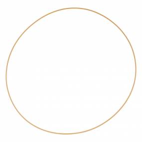 Dichtung (1997616C4) Case