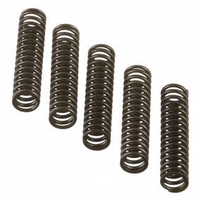 Druckfeder Case 4895045