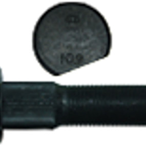 Radbolzen (84443588) Case