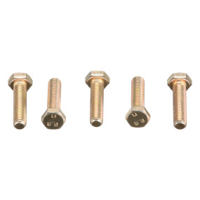 Schraube Case