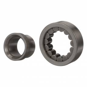 Rollenlager, Zylindr (394680A1) Case