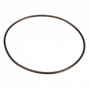 O-Ring Case 87736459