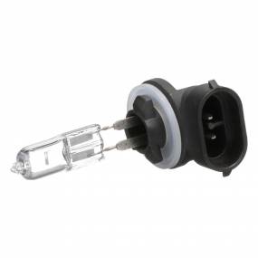 Glühlampe Case