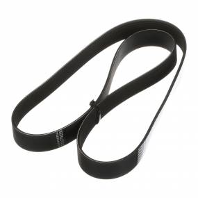 Riemen Case