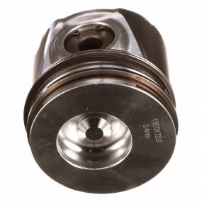 Kolben & Ringe,Satz Case