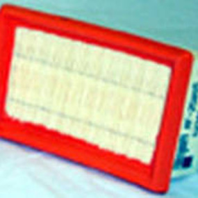 Luftfilter (Af25855) Case