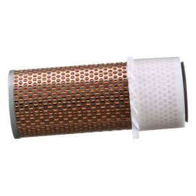 Luftfilter Case 1273134C91