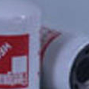 Hydraulikölfilter (Hf6281) Case