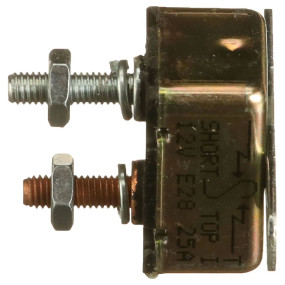 Sicherung Case 768125