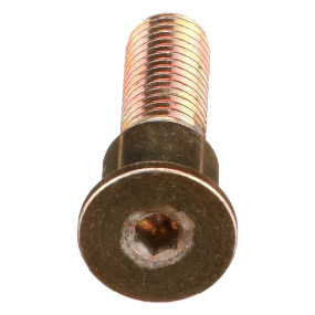 Bolzen mit Absatz Case 84349076