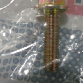 Schraube mit Flansch (87030775) Case