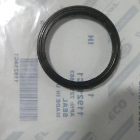 Dichtung Case 119214C1