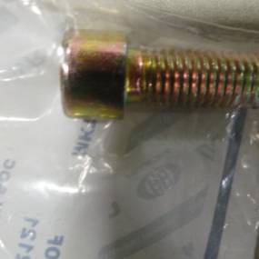 Innensechskantschrau Case 14422121