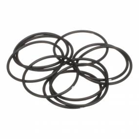 O-Ring Case 579359