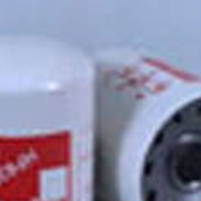 Hydraulikölfilter (Hf6358) Case