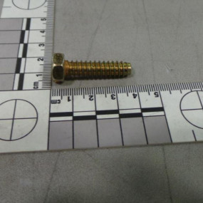 Schraube, Selbstschn (88825) Case