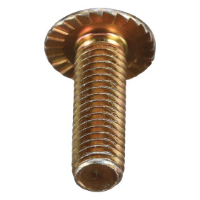Schraube, Verzahnt Case