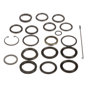 Dichtungssatz (Sml25061) Case