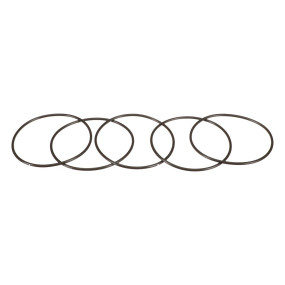 O-Ring Case 87016953