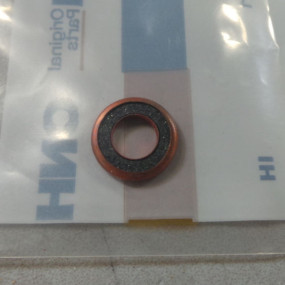 Unterlegscheibe Case 251373R1