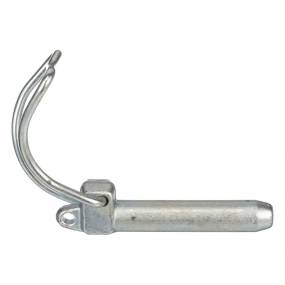 Bolzen Case