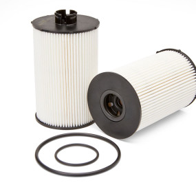 Kraftstofffilter (Fs19947) Case