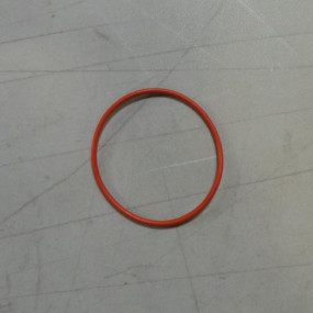 O-Ring (J883284) Case