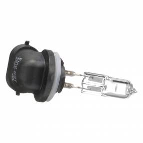 Glühlampe Case