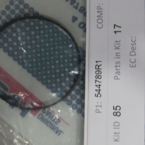 Dichtung Case 544789R2