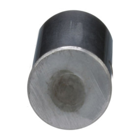 Bolzen Case