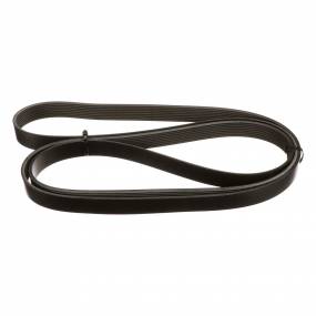 Riemen Case