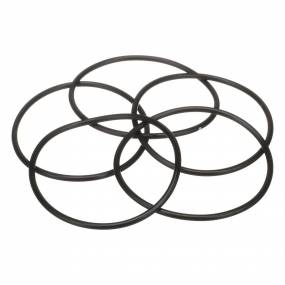 O-Ring Case