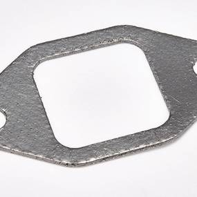 Dichtung, Flach (1349062C1) Case