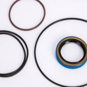 Dichtringpackung Case 66487C91