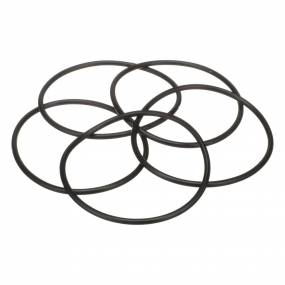 O-Ring Case