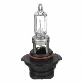 Glühlampe Case