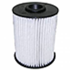 Kraftstofffilter (Fs19684E) Case