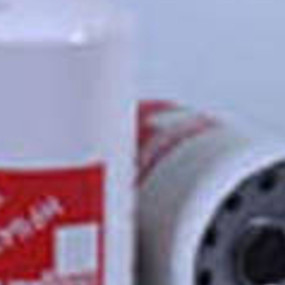 Hydraulikölfilter (Hf6436) Case