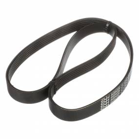 Riemen Case 84594326