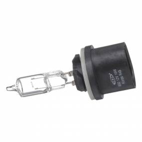 Glühlampe (87329813) Case