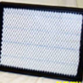 Luftfilter (Af25848) Case