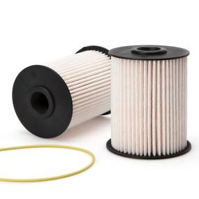 Kraftstofffilter (Fs19855) Case