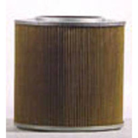 Hydraulikölfilter (Hf28927) Case
