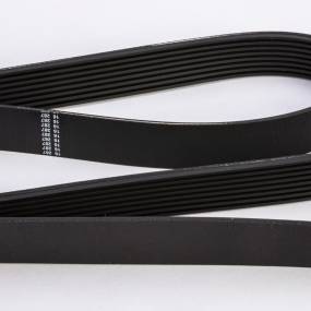 Riemen Case 84331239