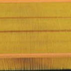 Luftfilter (Af25319) Case
