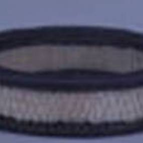 Luftfilter (Af4578) Case