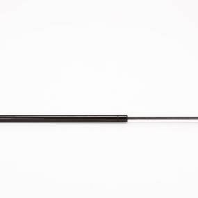 Gasdruckfeder Case 1968168C3