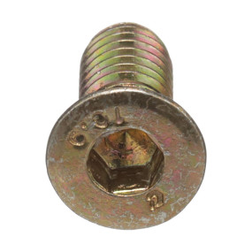 Schraube Case 87470018